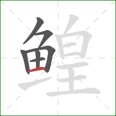 鳇的笔顺第7画:横 鳇的笔顺第7画:横