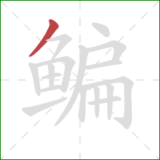 鳊的笔顺第1画:撇 鳊的笔顺第1画:撇