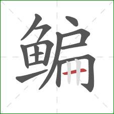 鳊的笔顺第15画:横 鳊的笔顺第15画:横