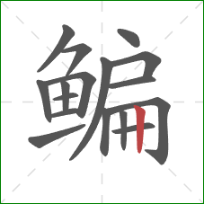 鳊的笔顺第17画:竖 鳊的笔顺第17画:竖
