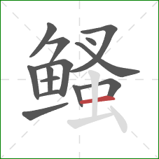 鳋的笔顺第14画:横 鳋的笔顺第14画:横