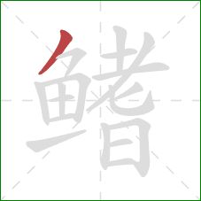 鳍的笔顺第1画:撇 鳍的笔顺第1画:撇