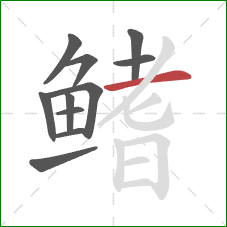 鳍的笔顺第11画:横 鳍的笔顺第11画:横