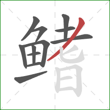 鳍的笔顺第12画:撇 鳍的笔顺第12画:撇