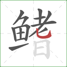 鳍的笔顺第14画:竖弯钩 鳍的笔顺第14画:竖弯钩