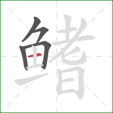 鳍的笔顺第5画:横 鳍的笔顺第5画:横