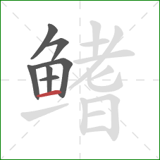 鳍的笔顺第7画:横 鳍的笔顺第7画:横