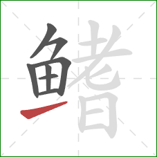 鳍的笔顺第8画:提 鳍的笔顺第8画:提