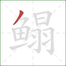 鳎的笔顺第1画:撇 鳎的笔顺第1画:撇