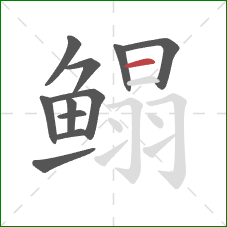 鳎的笔顺第11画:横 鳎的笔顺第11画:横