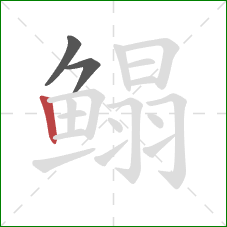 鳎的笔顺第3画:竖 鳎的笔顺第3画:竖