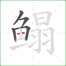 鳎的笔顺第5画:横 鳎的笔顺第5画:横