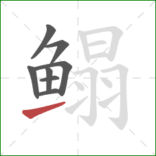 鳎的笔顺第8画:提 鳎的笔顺第8画:提