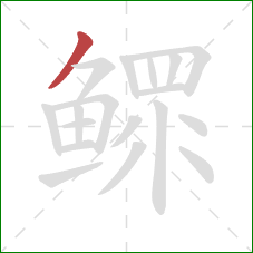 鳏的笔顺第1画:撇 鳏的笔顺第1画:撇