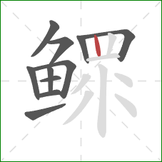 鳏的笔顺第11画:竖 鳏的笔顺第11画:竖