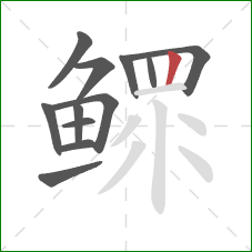 鳏的笔顺第12画:竖 鳏的笔顺第12画:竖