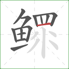 鳏的笔顺第13画:横 鳏的笔顺第13画:横