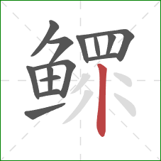 鳏的笔顺第14画:竖 鳏的笔顺第14画:竖