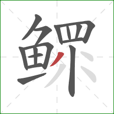 鳏的笔顺第15画:撇 鳏的笔顺第15画:撇