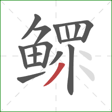 鳏的笔顺第16画:撇 鳏的笔顺第16画:撇