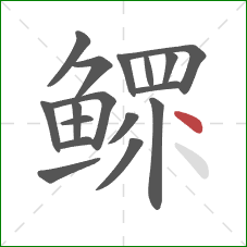 鳏的笔顺第17画:点 鳏的笔顺第17画:点