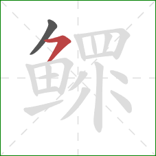 鳏的笔顺第2画:横撇 鳏的笔顺第2画:横撇