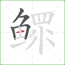 鳏的笔顺第5画:横 鳏的笔顺第5画:横