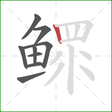 鳏的笔顺第9画:竖 鳏的笔顺第9画:竖