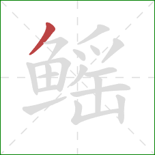 鳐的笔顺第1画:撇 鳐的笔顺第1画:撇