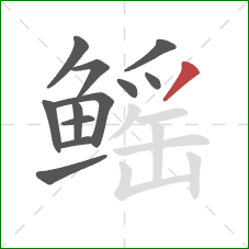 鳐的笔顺第12画:撇 鳐的笔顺第12画:撇