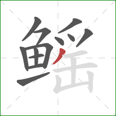 鳐的笔顺第13画:撇 鳐的笔顺第13画:撇