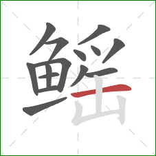 鳐的笔顺第15画:横 鳐的笔顺第15画:横