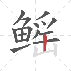 鳐的笔顺第16画:竖 鳐的笔顺第16画:竖