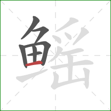 鳐的笔顺第7画:横 鳐的笔顺第7画:横