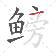 鳑的笔顺第10画:横 鳑的笔顺第10画:横