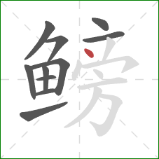 鳑的笔顺第11画:点 鳑的笔顺第11画:点