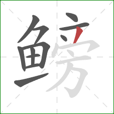 鳑的笔顺第12画:撇 鳑的笔顺第12画:撇