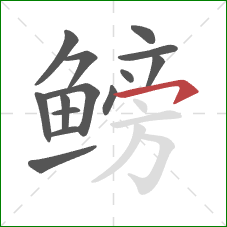 鳑的笔顺第14画:横钩 鳑的笔顺第14画:横钩