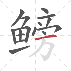 鳑的笔顺第16画:横 鳑的笔顺第16画:横