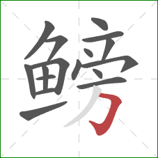 鳑的笔顺第17画:横折钩 鳑的笔顺第17画:横折钩