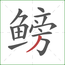 鳑的笔顺第18画:撇 鳑的笔顺第18画:撇