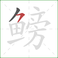 鳑的笔顺第2画:横撇 鳑的笔顺第2画:横撇