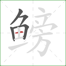 鳑的笔顺第5画:横 鳑的笔顺第5画:横