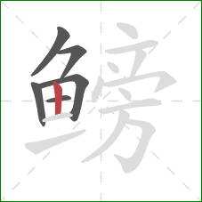 鳑的笔顺第6画:竖 鳑的笔顺第6画:竖