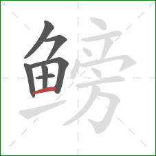 鳑的笔顺第7画:横 鳑的笔顺第7画:横