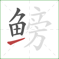 鳑的笔顺第8画:提 鳑的笔顺第8画:提