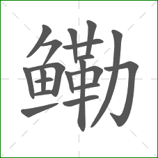鳓的部首 鳓的部首