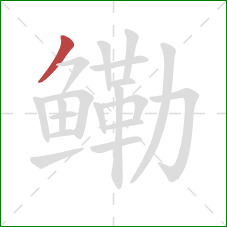 鳓的笔顺第1画:撇 鳓的笔顺第1画:撇