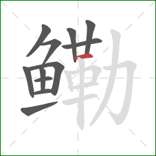 鳓的笔顺第12画:横 鳓的笔顺第12画:横