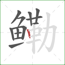 鳓的笔顺第13画:竖 鳓的笔顺第13画:竖